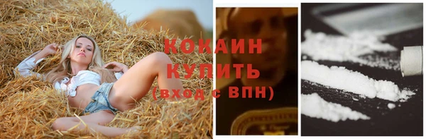 твердый Великий Новгород