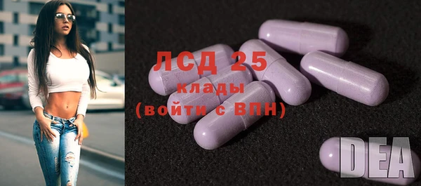 молекула духа Кулебаки