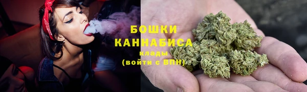 молекула духа Краснослободск