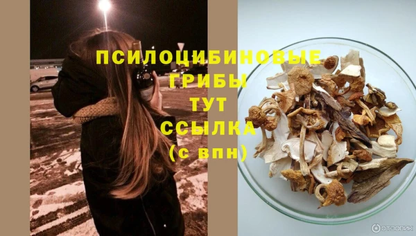 синтетический гашиш Братск