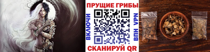 Галлюциногенные грибы ЛСД  hydra онион  Хадыженск 